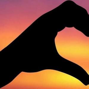 Meet your Posher, Alexa